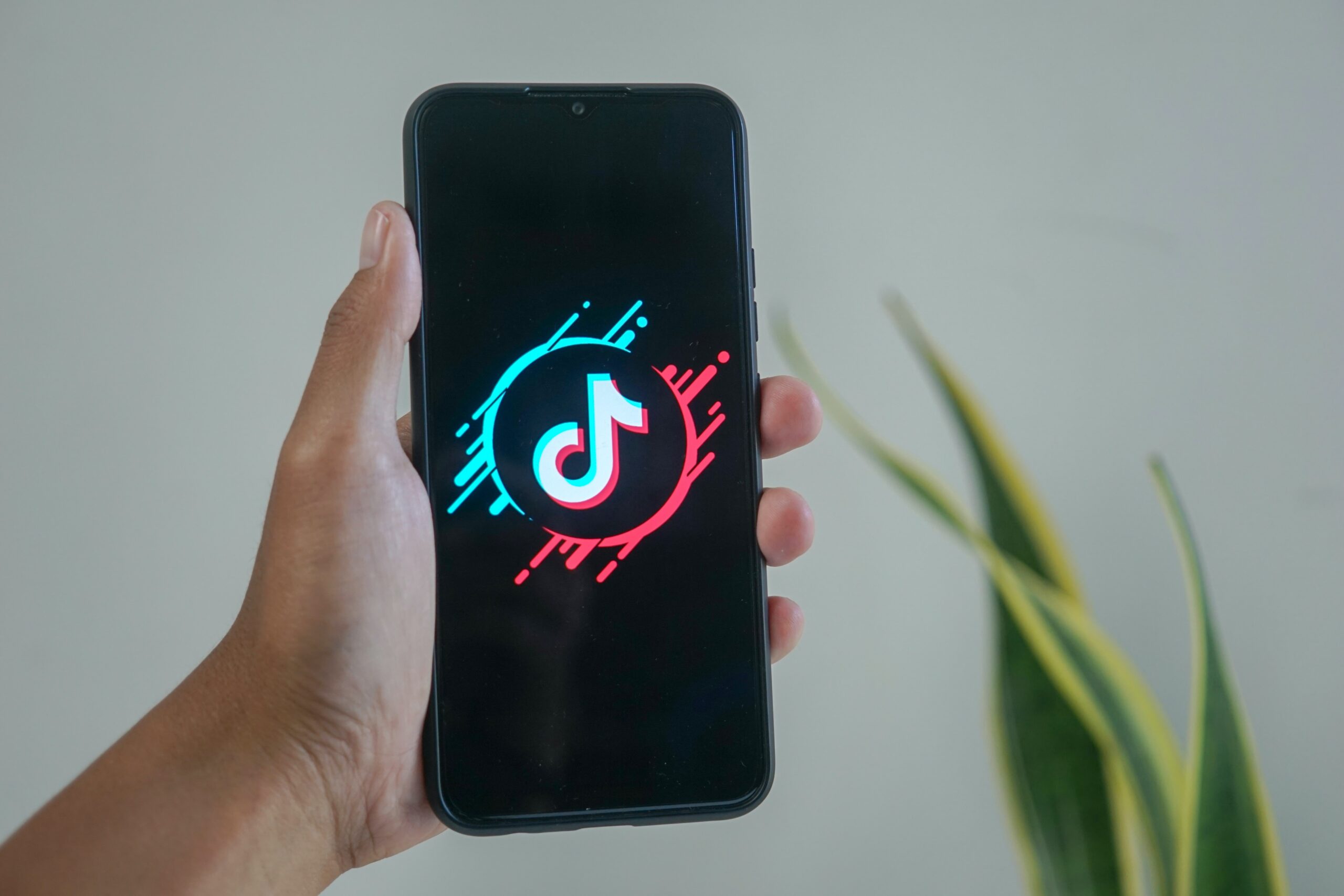 Will the upcoming TikTok Search Advertisements be value it? – Apptamin