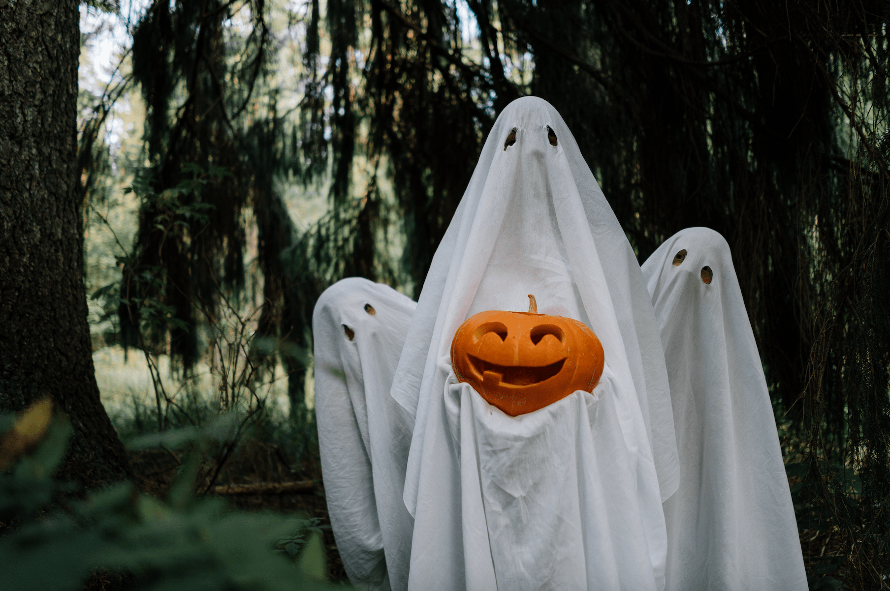 Gown up your cellular recreation for Halloween – Apptamin